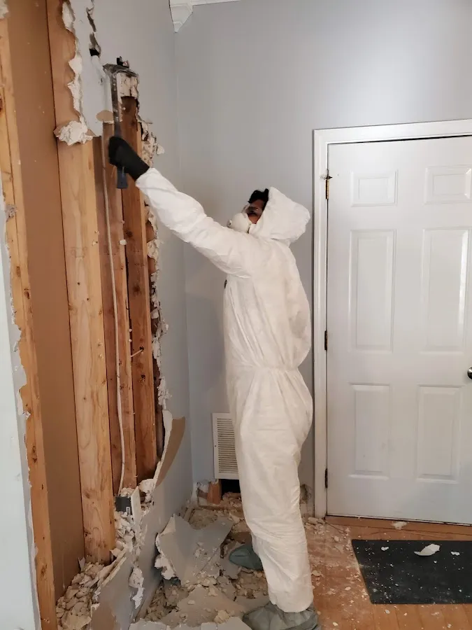 Commercial Water Damage Restoration in Mountain Home, AR